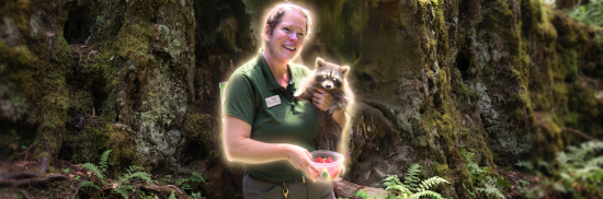 Cryptoguyonsoll's tweet photo. NYPOST JUST DROPPED JIMOTHY'S KEEPER IDENTITY

"Wendi Mallo" takes care of looking out for Jimothy as nypost said and she's the one that said there are more short spine raccoons around.

Punch's keeper literally went 300k? This is so free

https://t.co/FB5HmjZEwT https://t.co/zDM03YxK2Y