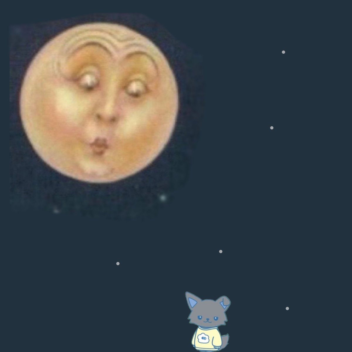 00s__kawaii's tweet photo. この顔でチャム達のことを日々見つめています https://t.co/lHNBgAojDx