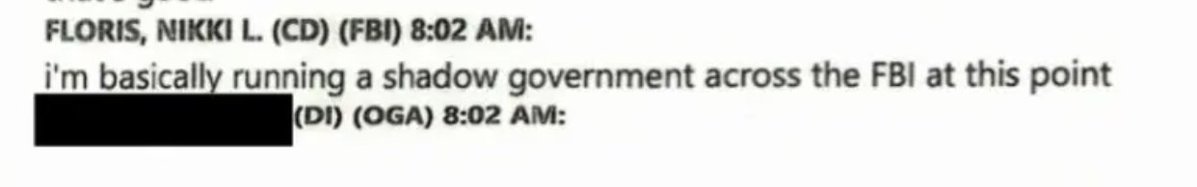 HansMahncke's tweet photo. This whole Nikki Floris scandal is so completely beyond the pale, not just because of what she did, but maybe even more because not one single corporate media outlet, other than the New York Post, has done a single report on it. You can search it yourself. There is nothing there.

So here we have the chief of the Intelligence Division of the FBI’s Washington Field Office, a former deputy assistant director of counterintelligence, and the FBI’s election security lead for the 2020 presidential election. We have her not only shutting down the Hunter Biden investigation by falsely claiming that Ukrainian whistleblower Andrii Telizhenko was a Russian agent, but also admitting that she was running a “shadow government,” meaning a government operating outside the authority of the one led by Donald Trump, the actual president.

And the media is completely silent.

That alone should disqualify them from any expectation of trust, access, or credibility when it comes to interviews, interactions with the Trump administration, or any role as an independent check on power. They have demonstrated that they are not acting as the media in any normal sense of the word, but rather as an institution protecting false narratives and suppressing information that the public has a right to know.