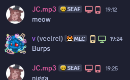 Veelrei 🏳️⚧️ tweet media