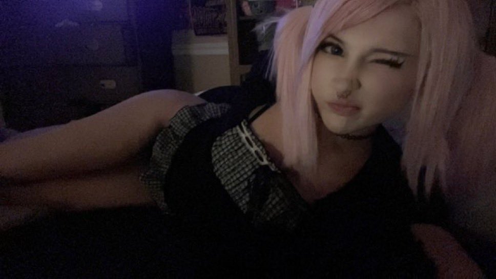MellowDino6's tweet photo. Need tribs for her, I’ll show you her reaction after https://t.co/QIfDYNezNZ