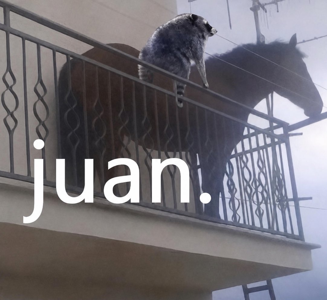 officialjuansol's tweet photo. @mugiwarasol_ He comes and chills with me on my balcony sometimes https://t.co/dkqO9VnEh3