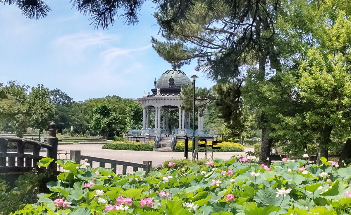 otokuragi's tweet photo. 明日8/24(金)鶴舞公園奏楽堂にてギター桜のライブがあります🌿午前9:40と10:40からの2ステージ行います。ボサノヴァなど夏らしい曲も演奏予定です🎶暑さ対策をしてお越しいただけましたら幸いです🙇 https://t.co/SzszCcDliy