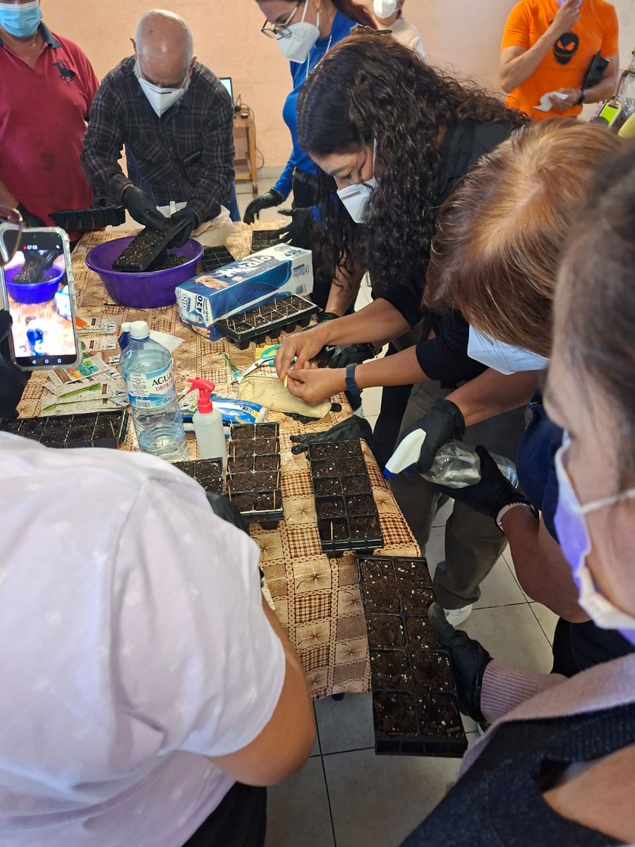 icat_cdmx's tweet photo. Cultivar conocimiento también es sembrar un mejor futuro. 

En el #ICATCDMX impulsamos el desarrollo de habilidades sostenibles mediante el Curso de Huertos Urbanos, realizado como parte del Programa Presupuestal E-100, donde las y los participantes adquieren conocimientos para producir alimentos de manera responsable y fortalecer la cultura ambiental alineada a la estrategia de nuestra Jefa de Gobierno, @ClaraBrugadaM, "Ciudad Circular, Basura Cero".

Reconocemos la labor de la instructora #BlancaEstelaGonzálezCarmona, quien guía este proceso de aprendizaje.

@GobCDMX 
@G_RamosSotelo 

#CapitalDeLaTransformación #CiudadCircular #CapacitaciónParaElTrabajo