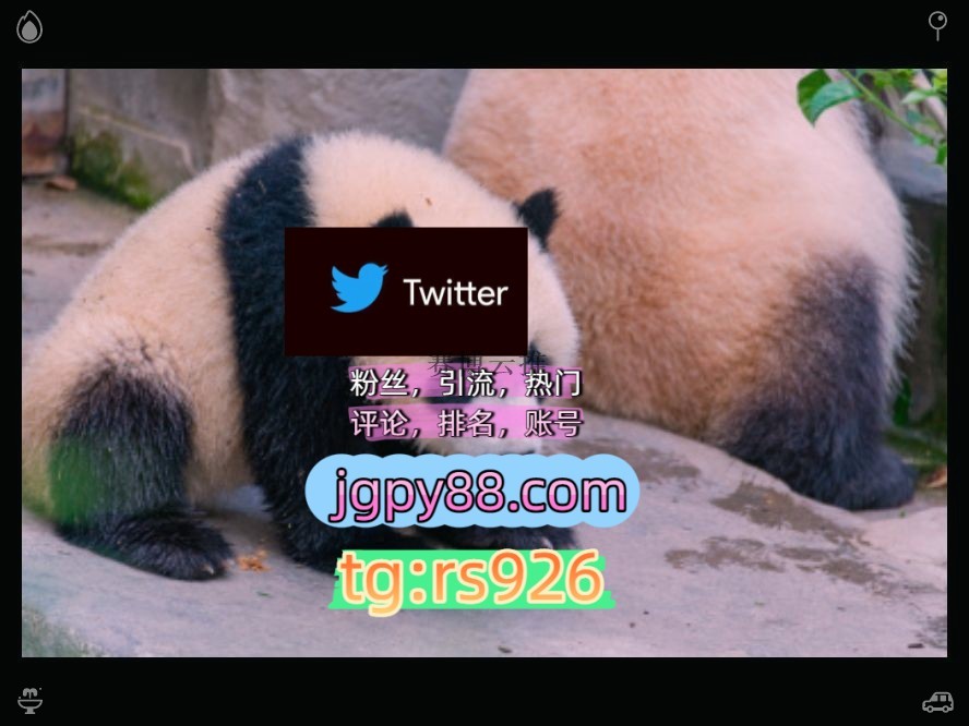 kponbtm's tweet photo. Know you are enough just as you are.沈阳
自动脚本推特矩阵管理、营销自动化、内容运营外🙏facebook上门
推特账号推特账号推特软件开门
关键词霸屏🧳熱門🌈权重号🌟推特老号🍄定時發推💐上门围370601热门号拉萨
排名号台州代发济南南昌
海外获客🪐主人的任务🌱instagram🛑 https://t.co/3oitmz4gx8