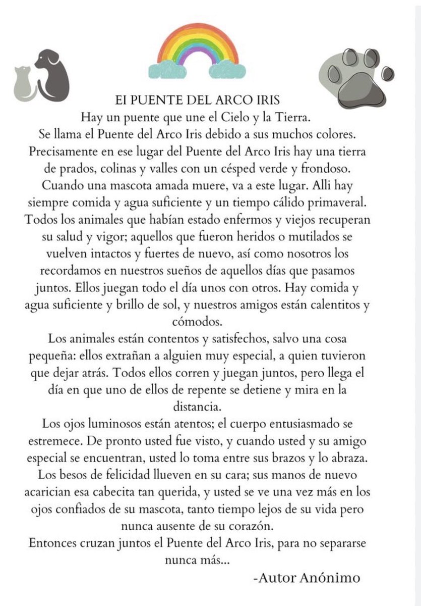 Natynagh's tweet photo. Hoy se fue uno de los seres que más amé en mí vida,Luli, una parte de la familia, yo me consuelo con ese poema anónimo, hasta que nos volvamos a ver. ❤️‍🩹 https://t.co/UV4BltL0TT