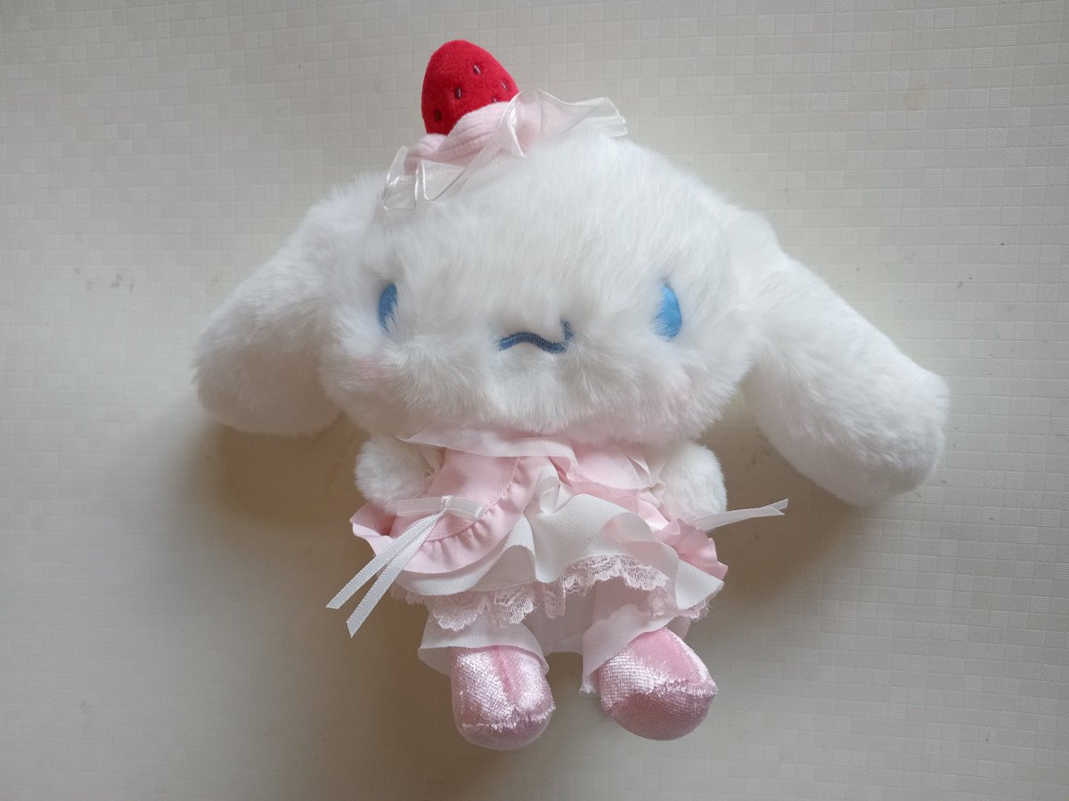 cinnamobully's tweet photo. るんるん♪今日からあたらしいおうちなんだ!ぼくとってもかわいいから、たくさんだっこやいいこいいこしてもらえるんだろうな。えへへ楽しみだなぁ https://t.co/bOmZamiZmq