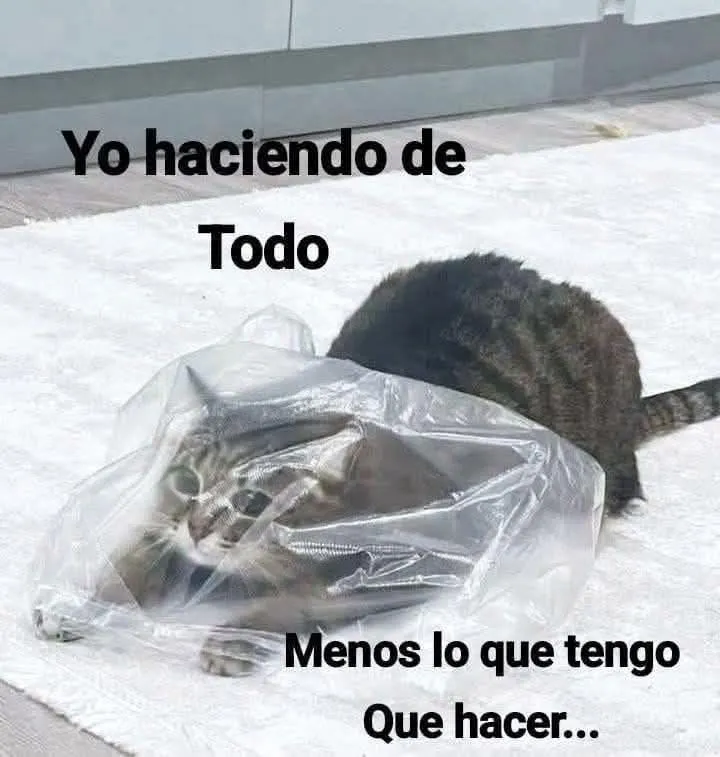 FraseSimple's tweet photo. https://t.co/FIi5sB3cUa