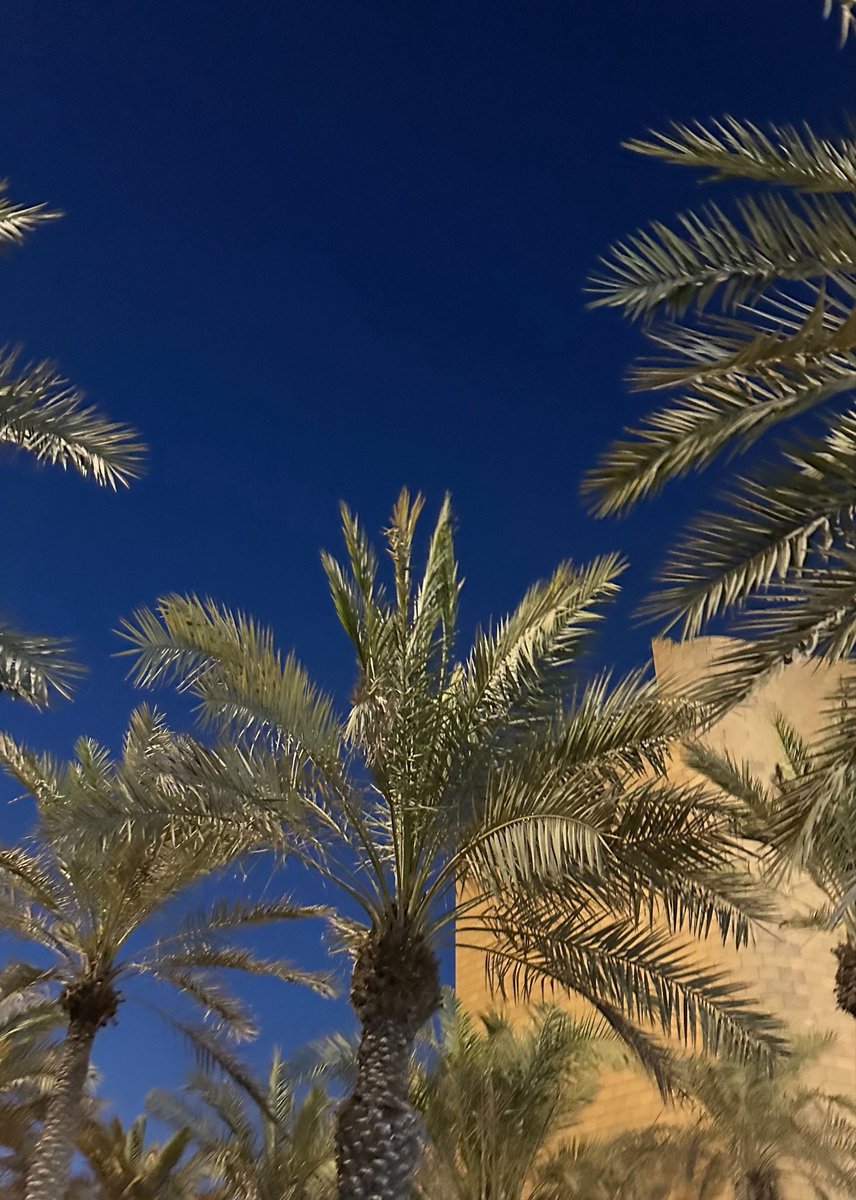 _9iiai's tweet photo. لـيالي المعيقلية 🌴 https://t.co/FlE8H0TjNv