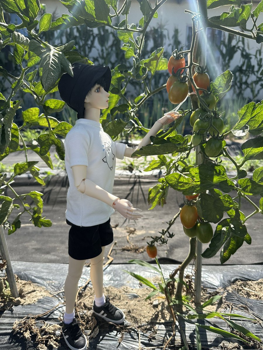 cooolstar_'s tweet photo. 청량하다고 스을쩍 발을 넣어봄
#청량한_인형사진을_올려보자 https://t.co/rLh0ggvr01