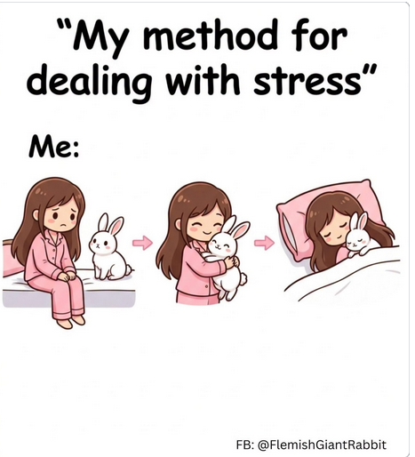 NarcissistBox's tweet photo. https://t.co/rfyNt5qeYV
