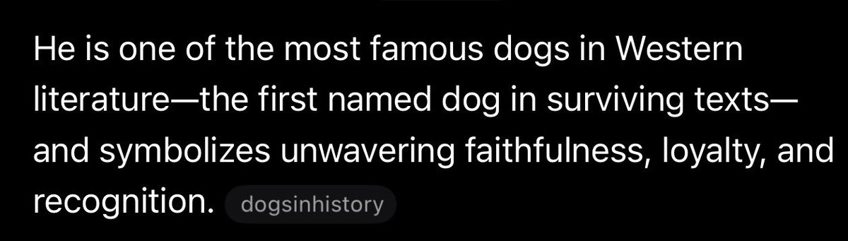 bayouirish31's tweet photo. @0xLemuel $Argos 

I love this play was breaking out but someone nuked 3 percent so it’s treading water

Elon about to make a odyssey movie and it’s a major part of it and the first named dog in literary history https://t.co/D1d4gdnVn6