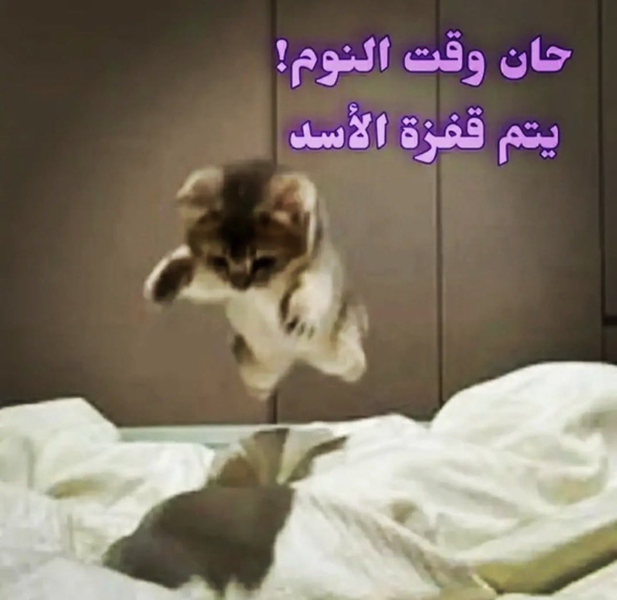 رِ tweet media