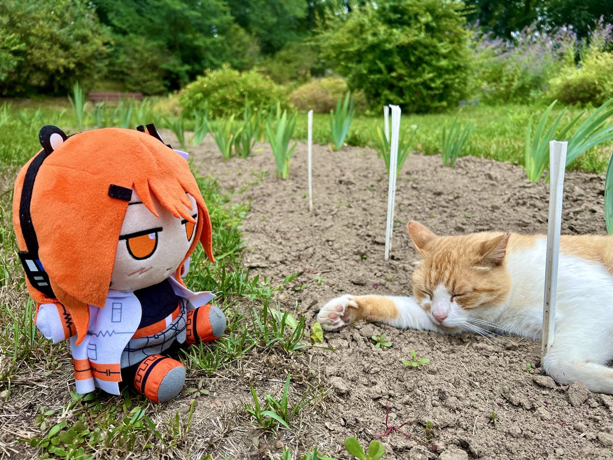 What a predictable creature! #足立レイ #AdachiRei #旅する足立