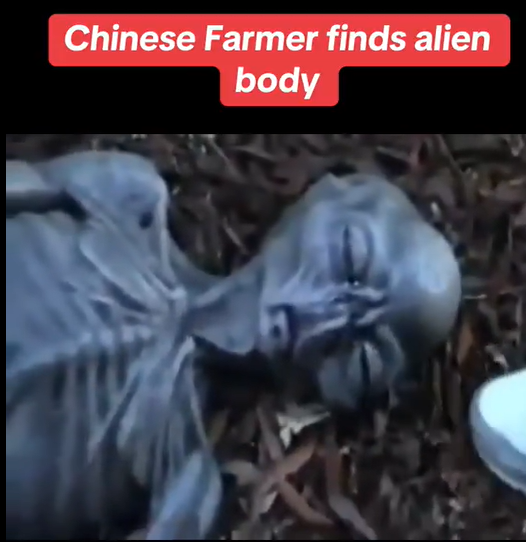 uBF2fV1cVQxRjQo's tweet photo. This photograph is said to show a member of the crew of a UFO that crashed in Mexico in the 1950s. Apparently, this creature was transported to Germany for investigation but was never seen again.
At the time, it was dismissed as a fake photograph and kept under wraps, https://t.co/7EQnw24Qnt