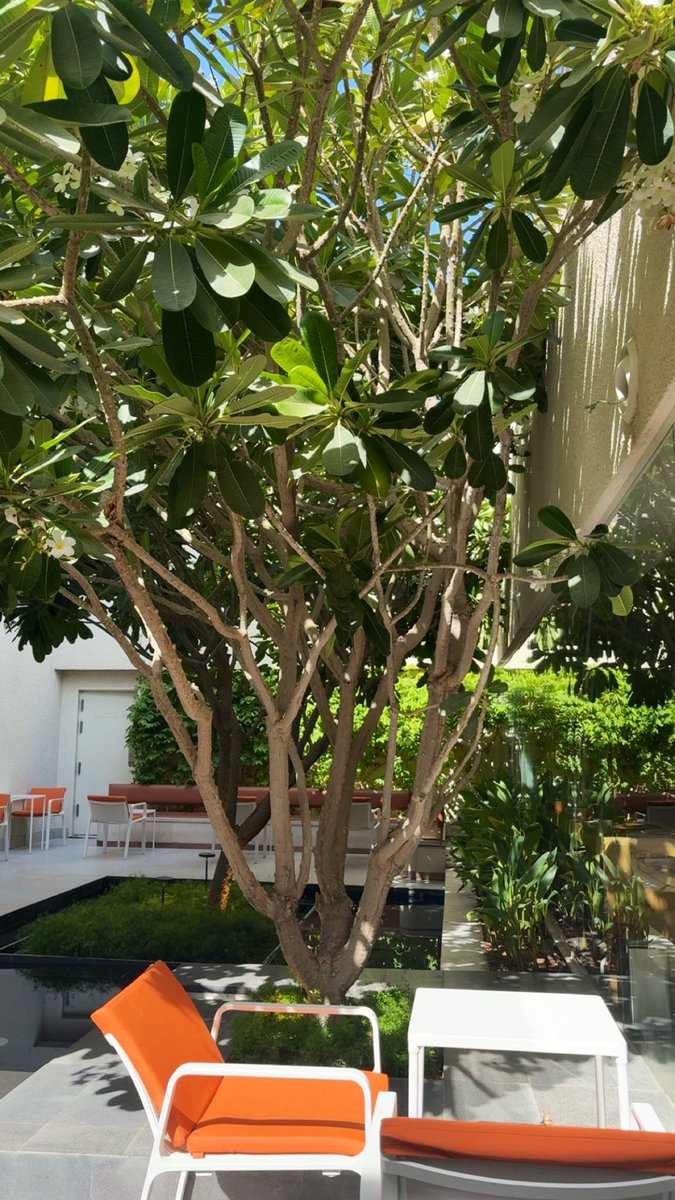 rae_213's tweet photo. شكلي ادمنت 😋. https://t.co/AAQF3Ffopp