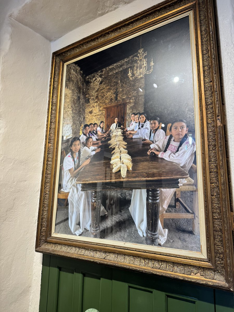 jorgemam's tweet photo. En scouting en @GobMilpaAlta https://t.co/T7KHU2KaDa