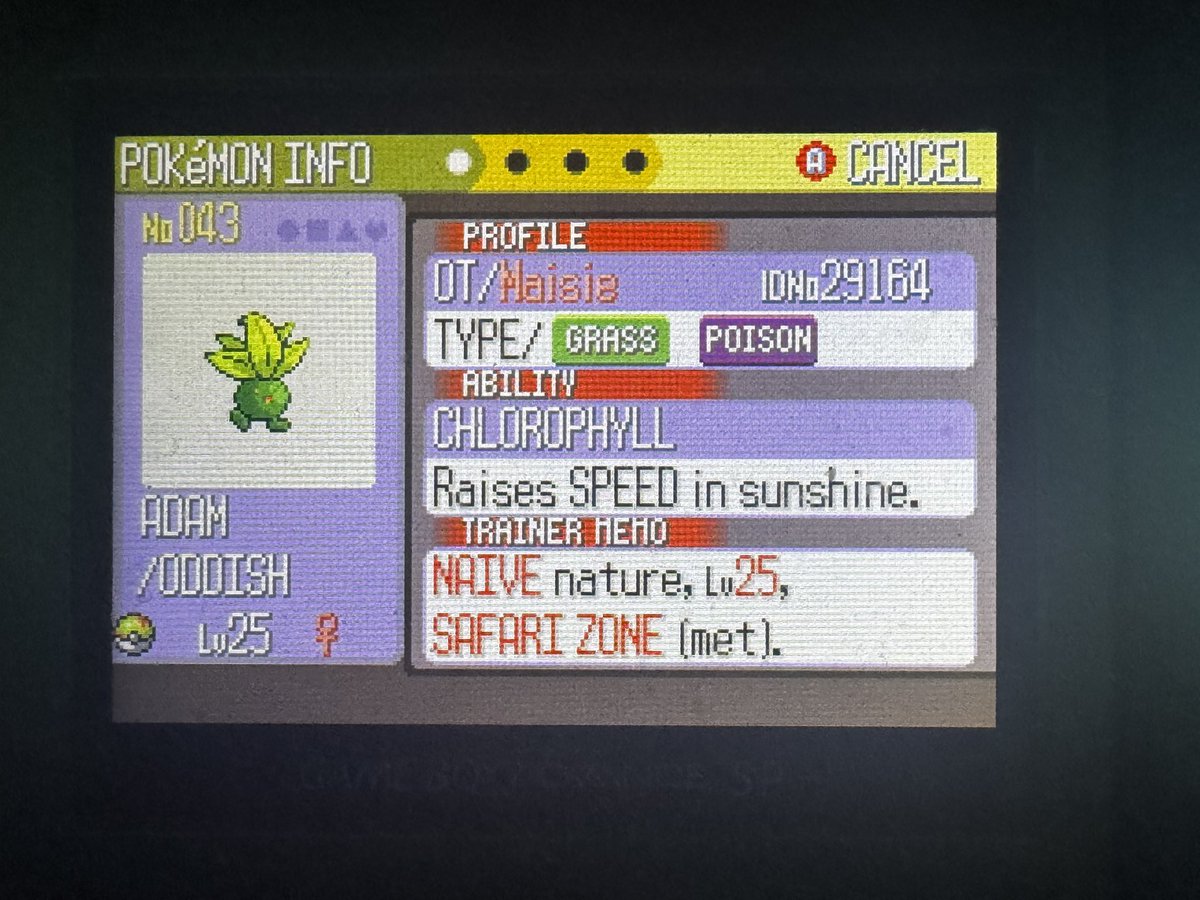 amac715's tweet photo. After 5,160 encounters, I found and caught a shiny oddish! My 6th shiny found for #SafariWeek2026 and is somehow the first oddish I have seen in the Hoenn Safari Zone. 1/6 https://t.co/WEqjRi02ic