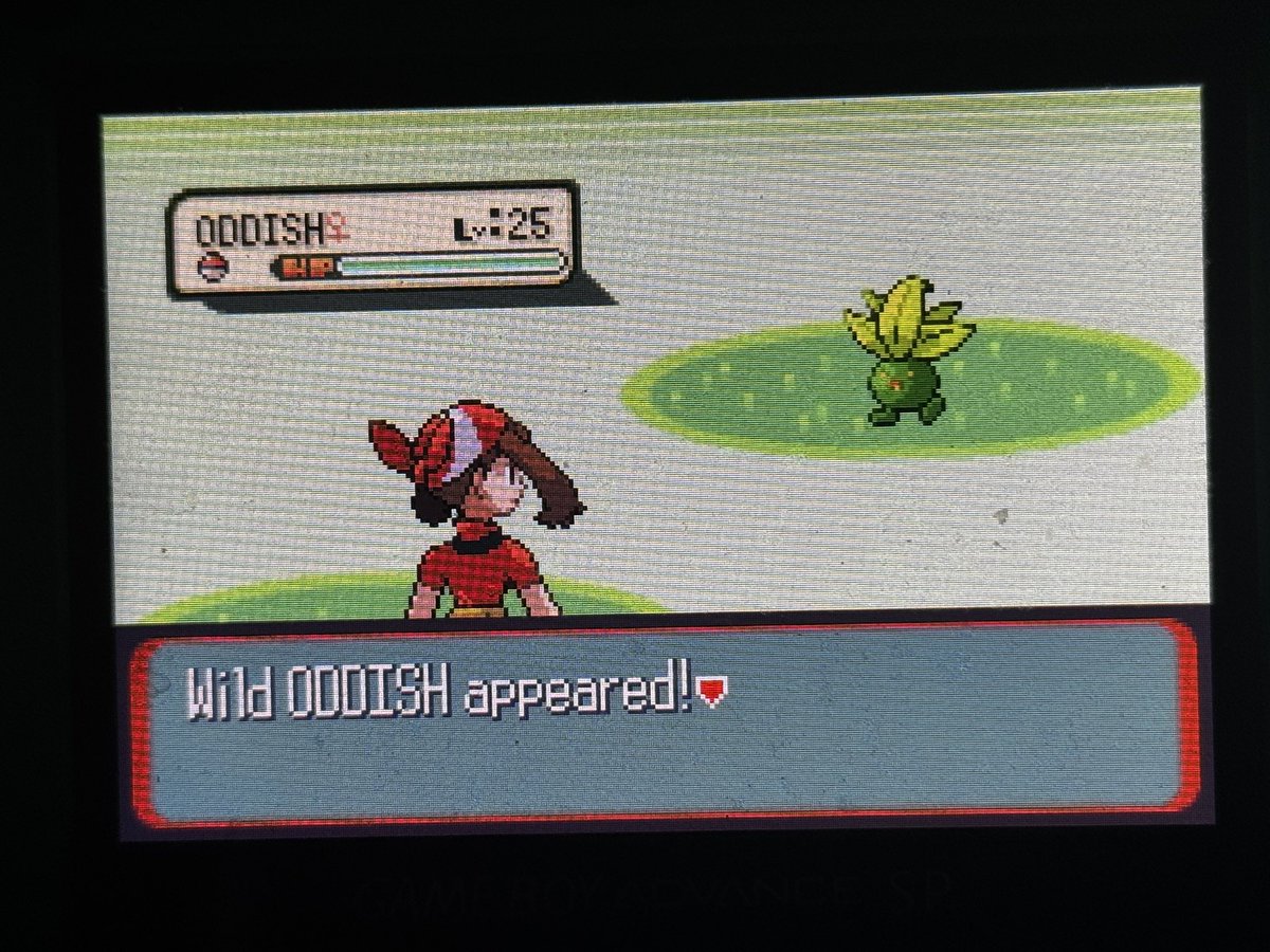 amac715's tweet photo. After 5,160 encounters, I found and caught a shiny oddish! My 6th shiny found for #SafariWeek2026 and is somehow the first oddish I have seen in the Hoenn Safari Zone. 1/6 https://t.co/WEqjRi02ic