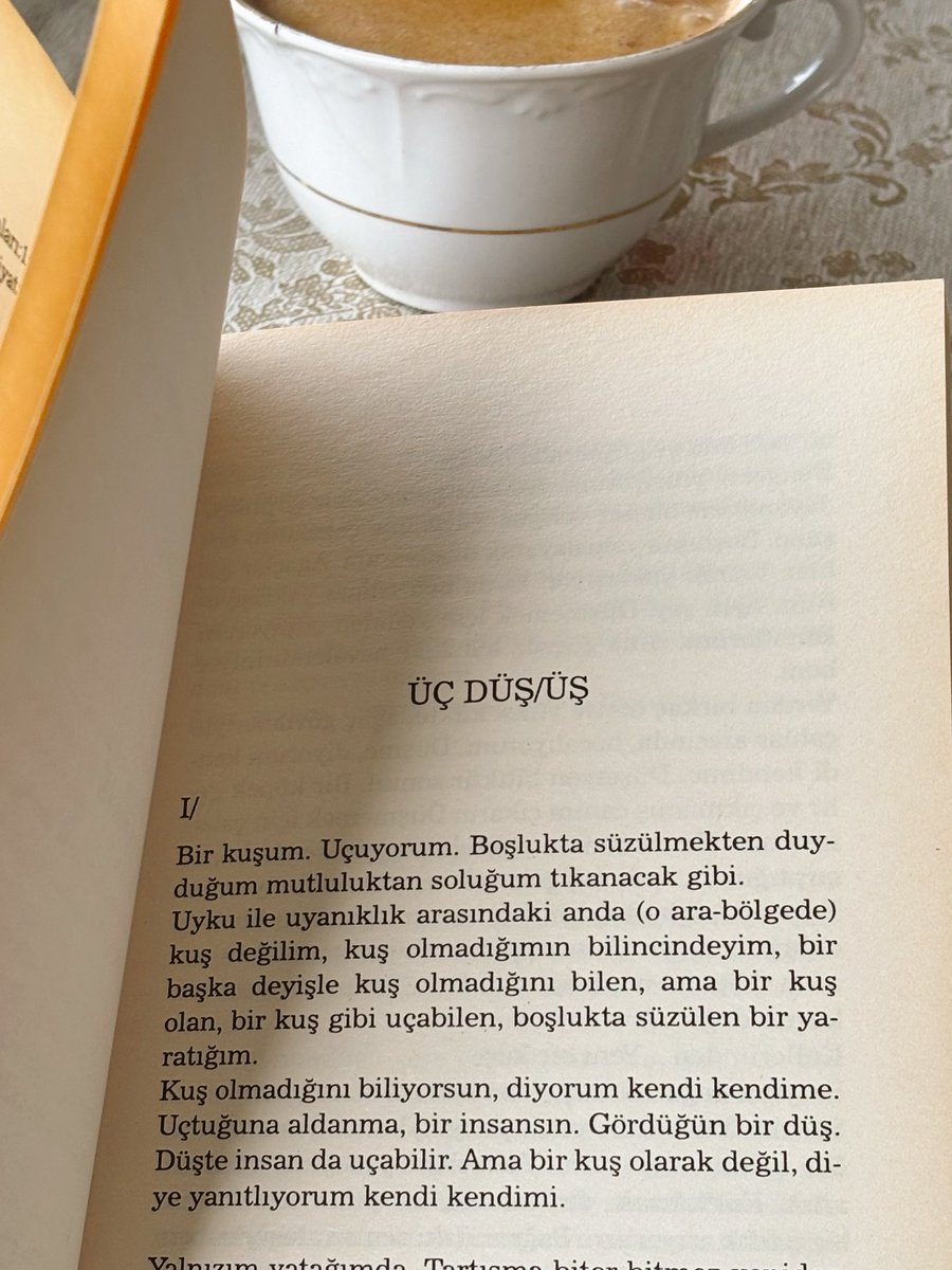 i_r_e_mmm's tweet photo. Çünkü… çünkü mutluluğu aramıyorum.
Onu yok sayıyorum. Daha doğrusu olanaksız.

ferit edgü https://t.co/dJ9YwV2XSe