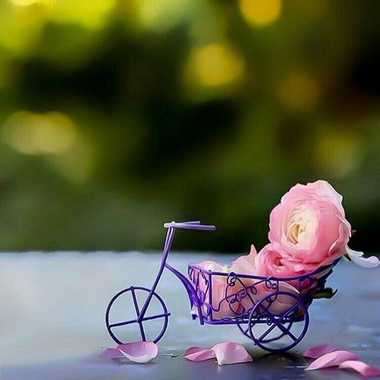 mnynwr43's tweet photo. " العطايا والهبات الربانية ..
 لا تأتيك في الوقت الذي تختاره أنت ..
 بل في الوقت الذي يكون نفعها لك أعظم .. 

 " ولما بلغ أشده آتيناه حكمًا وعلمًا " ..

#صباح_الأشياء_المُشرقة https://t.co/bjHF6QXdtQ