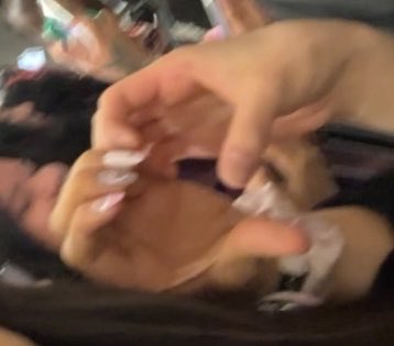 rikiidream's tweet photo. @v6mpirezz LA MANITA D SUNOO A LADO D LA MIA TE LO JURO SON PEKEÑOS https://t.co/uiaJx8QnOn