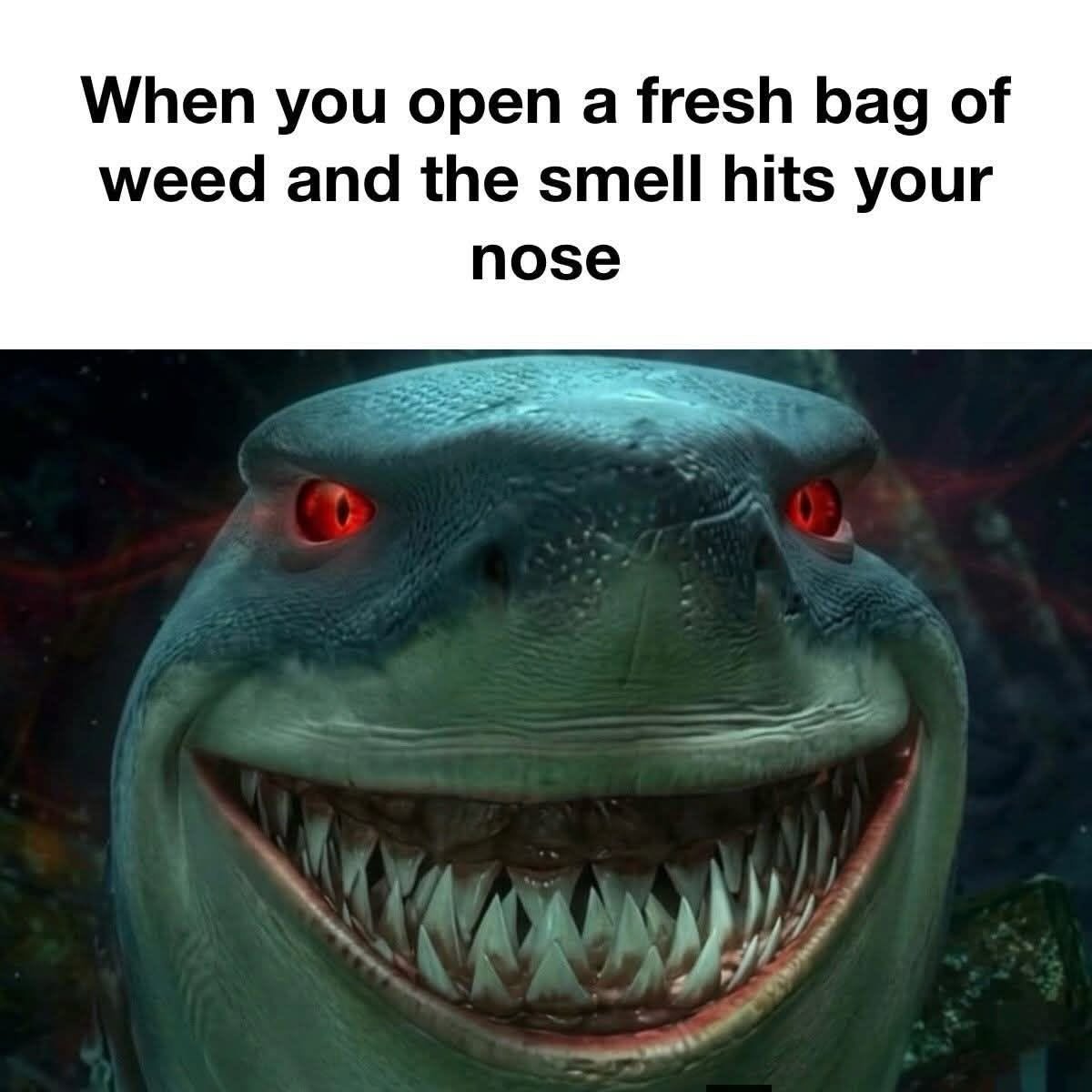 SJsMemes420's tweet photo. https://t.co/QEKX1o9FQZ