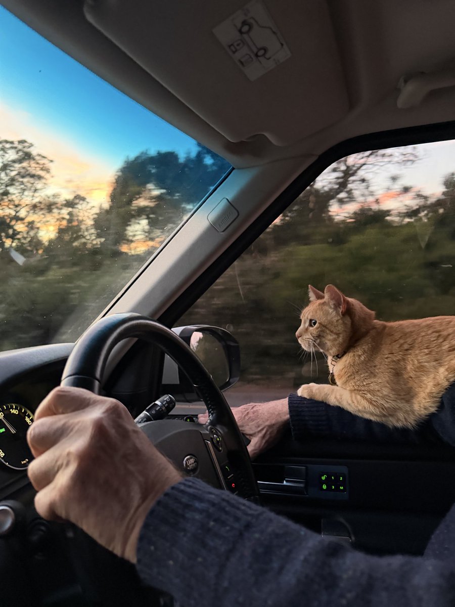 coenbester's tweet photo. My trusted co-pilot https://t.co/moxwK2FY7M