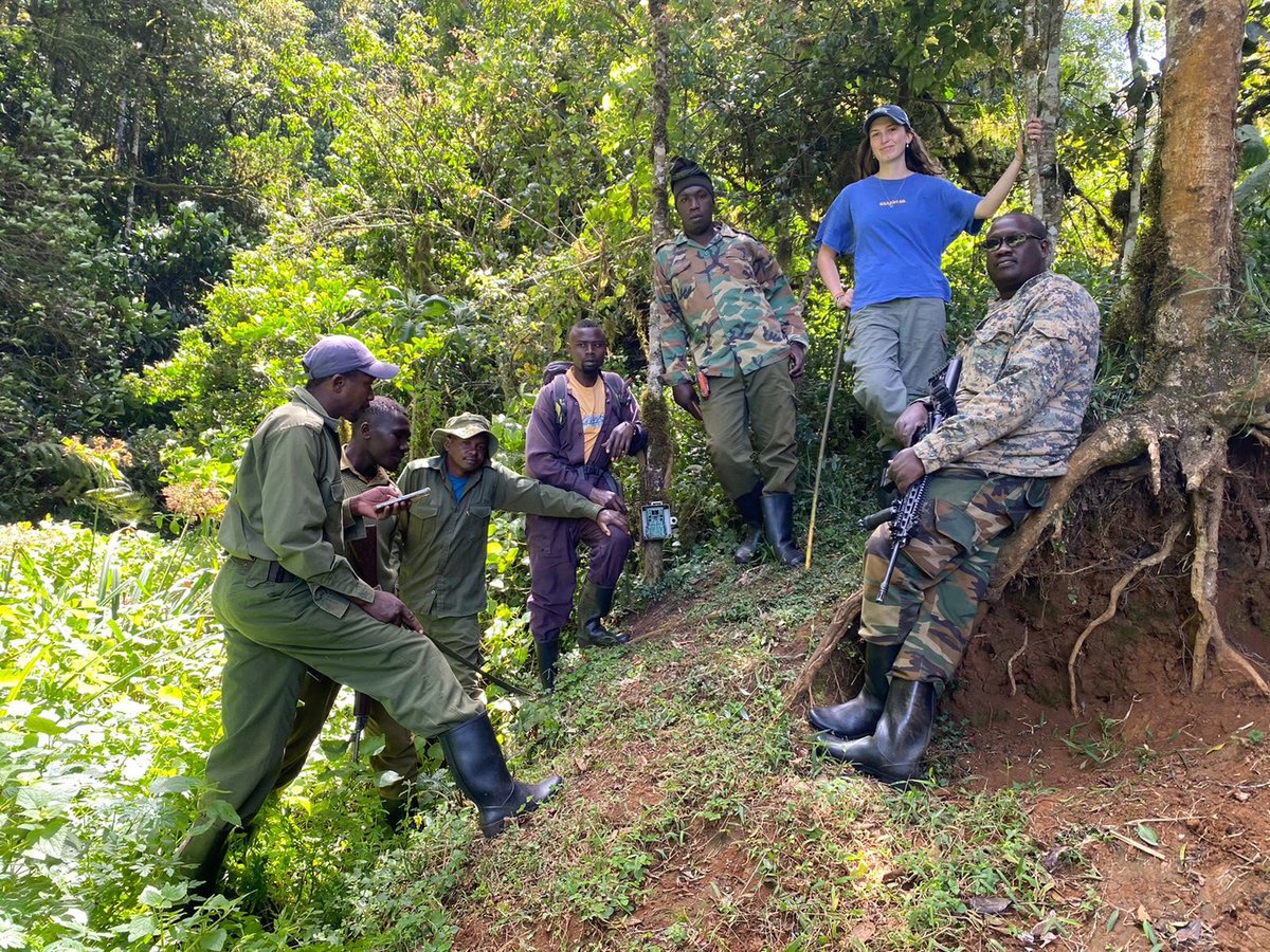 RhinoArk's tweet photo. Sharing knowledge is part of conservation.

This week, our #MountainBongo team at Mt. Kenya hosted a practicum student from the UK, sharing skills, experiences, and a passion for protecting one of the world's rarest antelopes.

#MountainBongo #MountKenya #WildlifeConservation https://t.co/VCTy0UQyz2