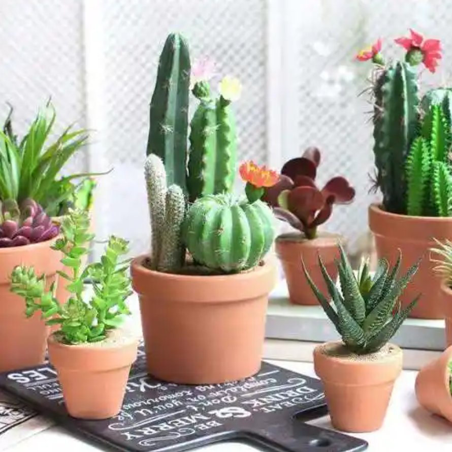 IoneGormanous's tweet photo. Transform your workspace with a small, cozy upgrade – a potted succulent, a chic notebook, and a warm desk lamp make work feel less stressful and more inspiring!， https://t.co/AQmktaCZ7D