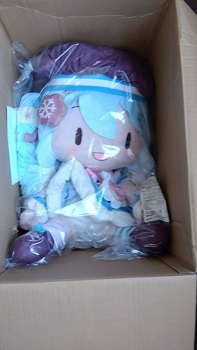 amimikla2's tweet photo. 雪ミク届きました
帰国したら確認します https://t.co/xNeremWayc