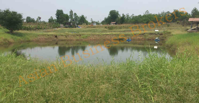 asianbizbrokers's tweet photo. Phetchabun, Thailand
Large 17.3 Rai Plot of Land for Sale in Phetchabun
Listing No. 066-42-01-001
Price: THB 8,900,000
https://t.co/gi274Z63WB
#Land #LandforSale #Petchabun #Thailand #Potential #Highway #ByPass #MainRoad #ขายที่ดิน
#เพชรบูรณ์ #ติดถนนใหญ่ #Business #Asia #Asian https://t.co/2oWJrIHBDc