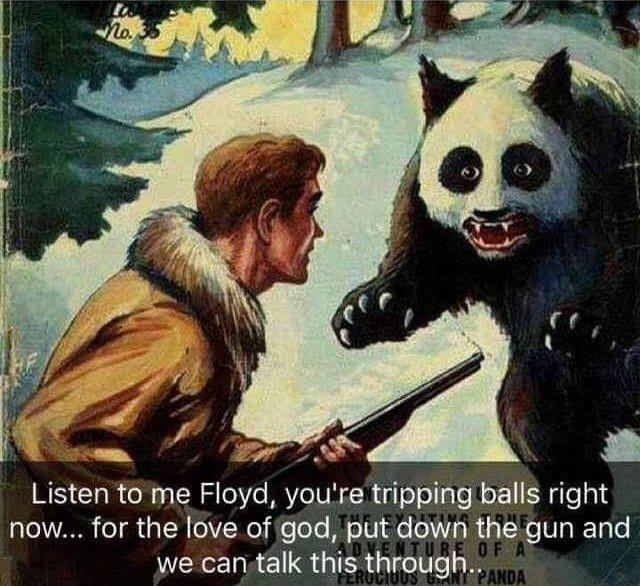 111024Aqfar's tweet photo. @elonmusk Yo @elonmusk Animated this great meme in 15 seconds with Grok Imagine. Thanks.. https://t.co/yLXSFeNfdi