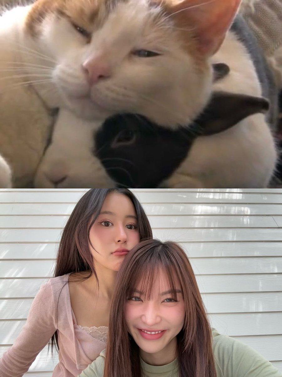 CiizeDaisy's tweet photo. [Ciize Update] Post IG 230726

⋆.𐙚˚Ooouiiiikkakajikapudjakalikajapudji◟𝜗𝜚˚⋆

IG : ciizezphr
🔗 https://t.co/OiR9PSsqRD

#ciizezphr #CiizeRutricha #MyFanze 
#KapookCiize #กระปุกไซซี https://t.co/gj0bQaCTc0