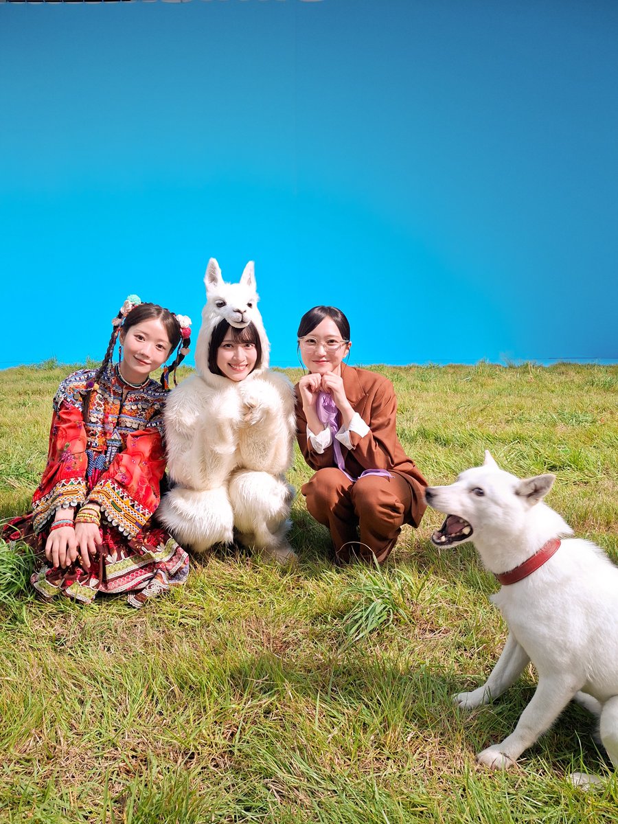 SoftBank's tweet photo. お父さんと挨拶するアルパカ一族
#佐々木舞香 #野口衣織 #大谷映美里 https://t.co/MVc4LGm89W