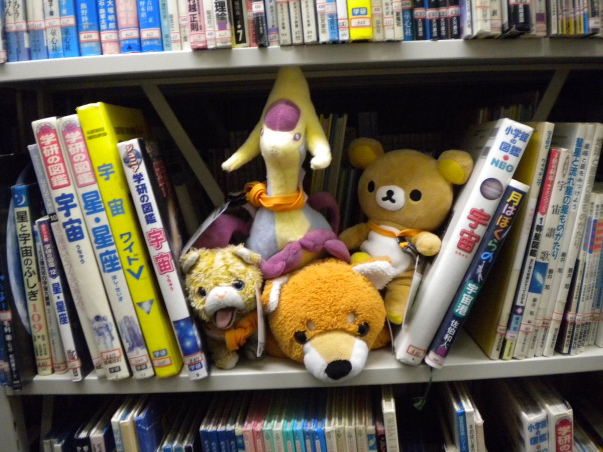 sendai_lib's tweet photo. 【#宮城野図書館 #ぬいぐるみおとまり会】
絵本、かみしばい、ずかん…いろんな本があるんだなあ。

#仙台市図書館 #宮城野区中央市民センター #青空ミーティング https://t.co/ZpuR1Tewbt