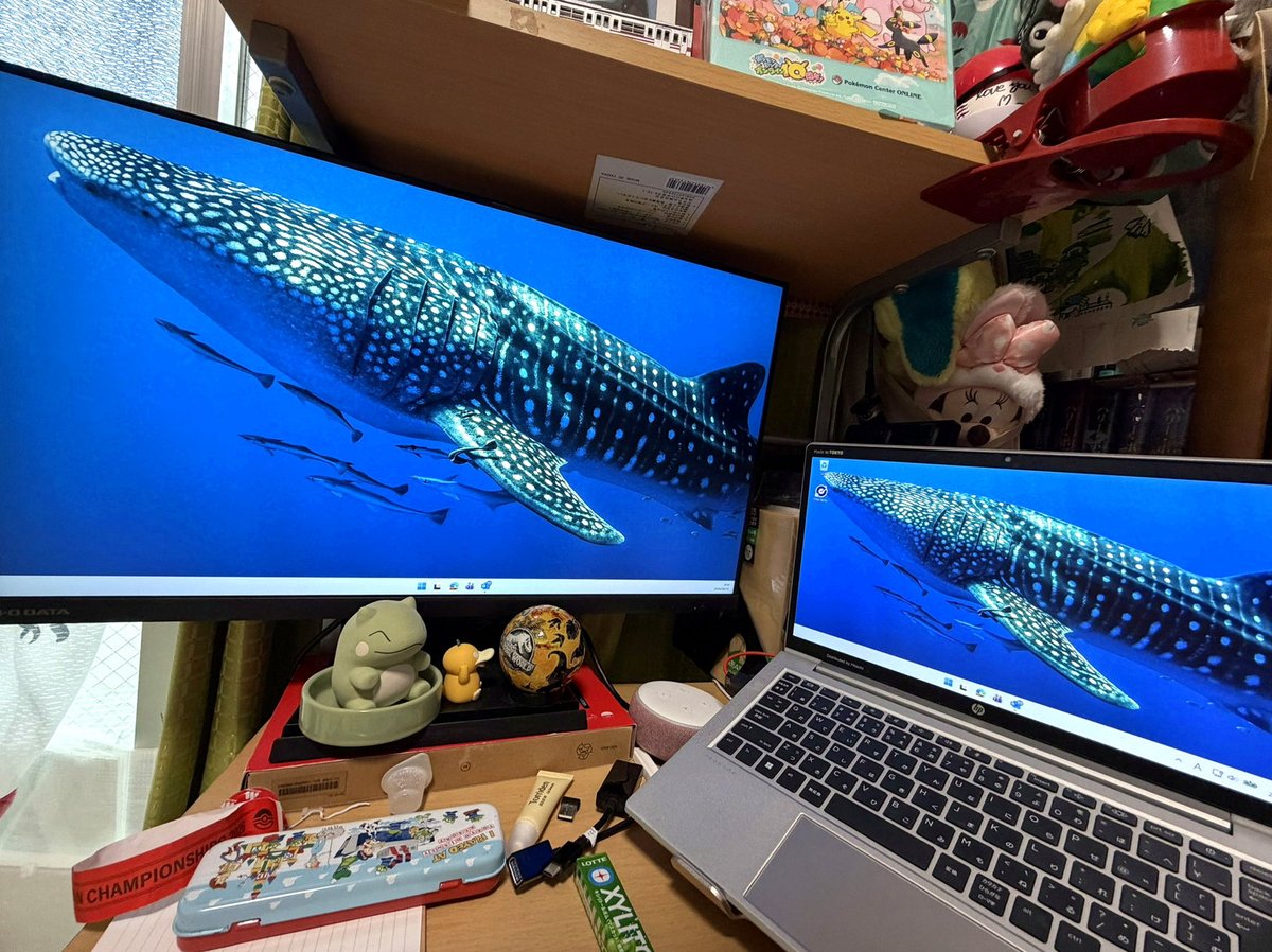 kasbesin's tweet photo. ケンマックスさんこんにちは😊
ハロが綺麗ですね🥰
今日の動画も美しいです✨
お仕事お疲れ様でした🍀︎ ̖́-
穏やかで素敵な午後のひと時を🤗 https://t.co/5ahSh1fwIW