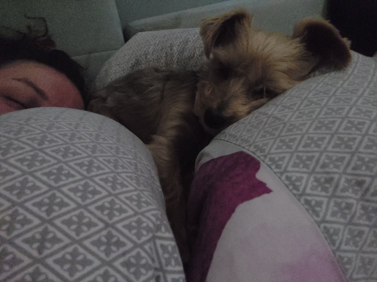 slavjoestar's tweet photo. She is the light of my life https://t.co/he5myMXaDQ