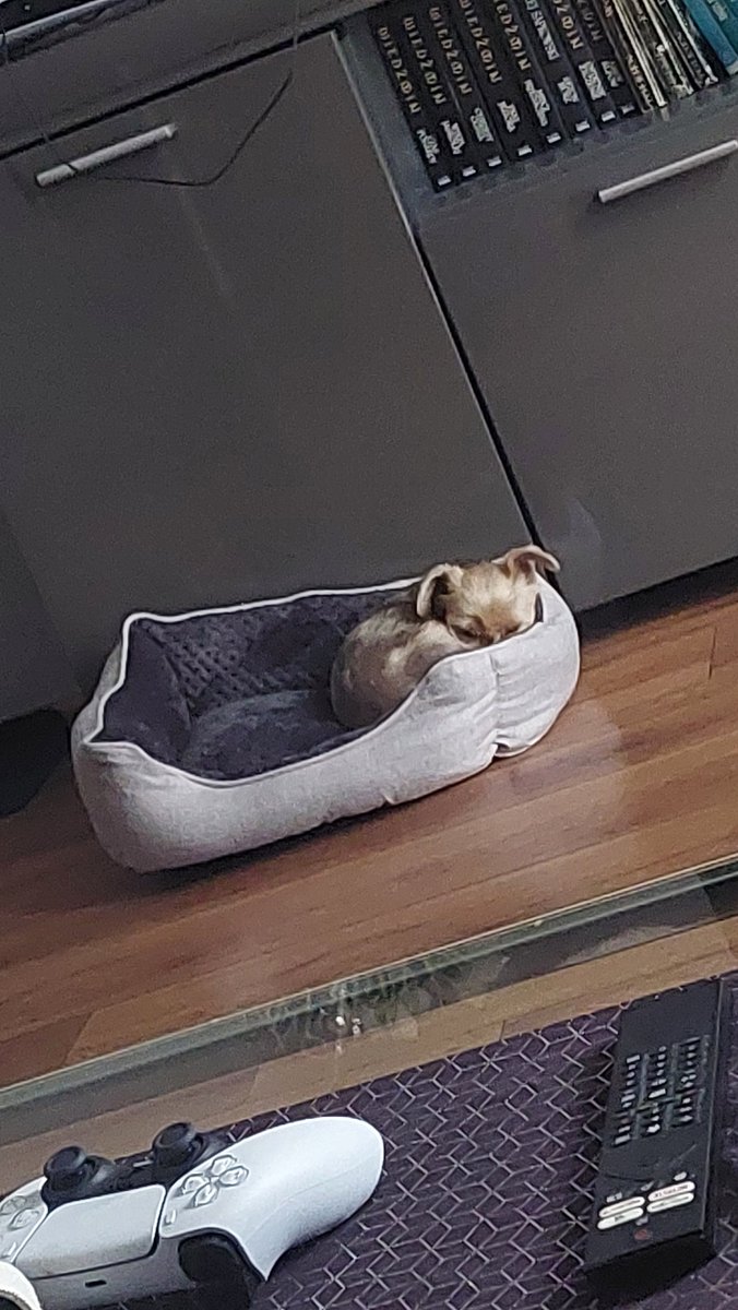 slavjoestar's tweet photo. She is the light of my life https://t.co/he5myMXaDQ