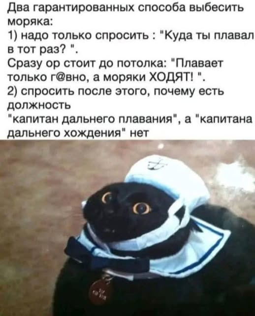 Елена tweet media