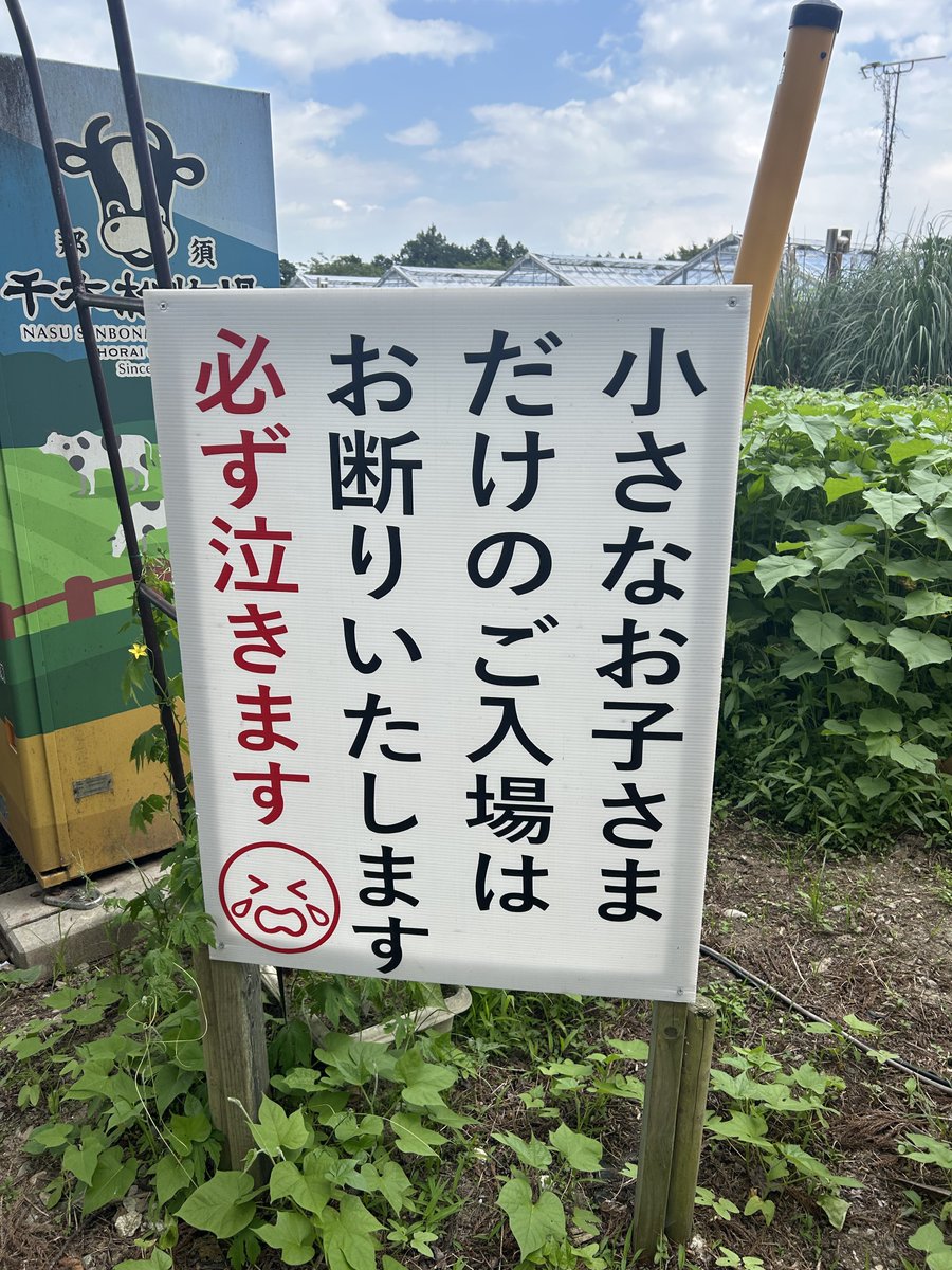 これやりたかった🌽