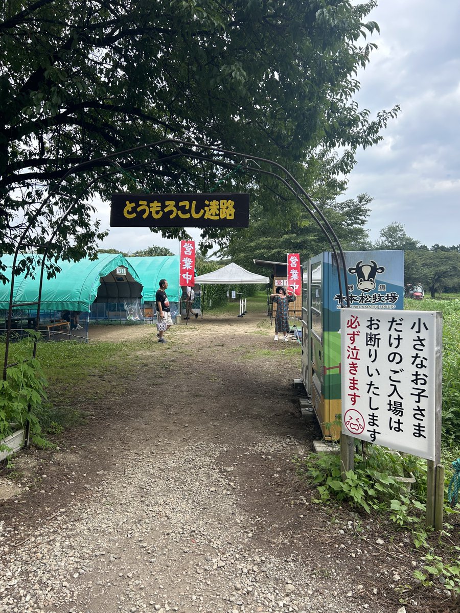 これやりたかった🌽