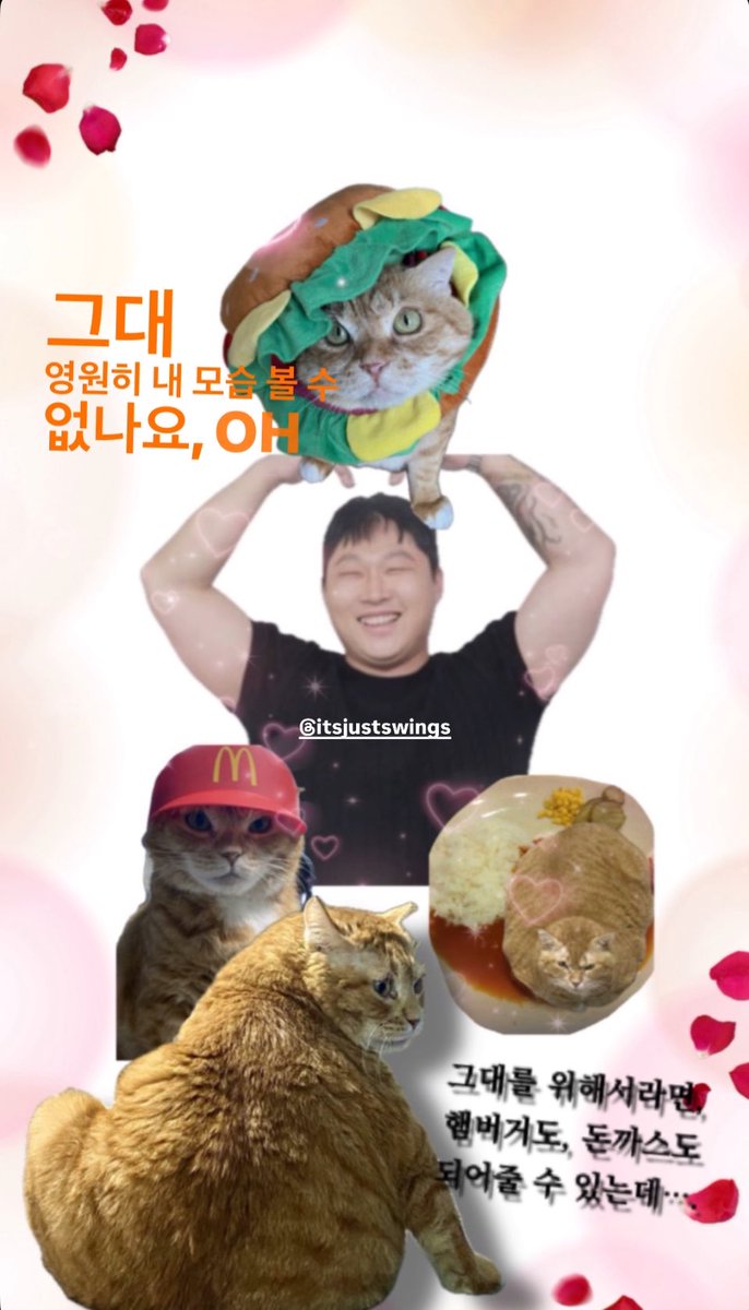 hyeishye's tweet photo. 귀여우시다 https://t.co/8I5TVy6xEy