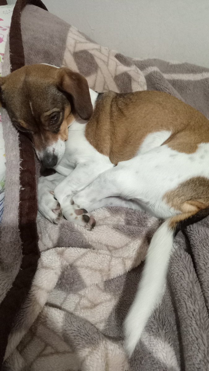 eugemato's tweet photo. Alguien que ustedes conocen ya está lista para irse a dormir... https://t.co/ySqFmv1zYJ