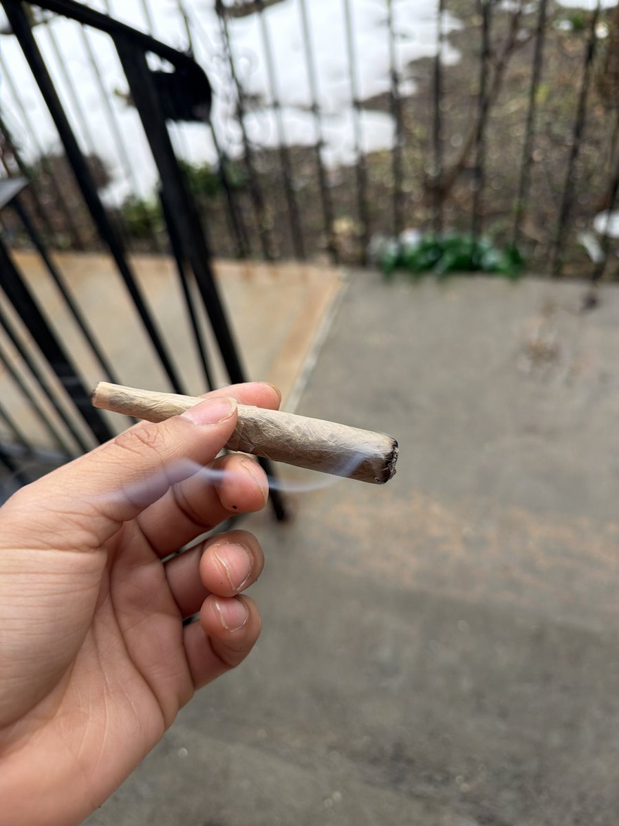 Diswildin's tweet photo. It’s always safe to smoke weed https://t.co/nfUeQbAgAO