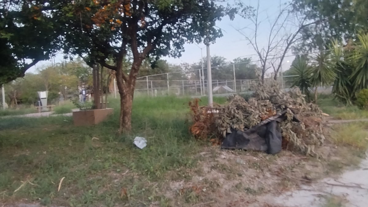 BiitaT's tweet photo. @GobSanNicolas @daniel_carrillo  ahí para que la pongan en la lista, la plaza de Fracc Valle de Santo Domingo 1er sector en #SanNicolas, está muy descuidada, hierva muy crecida y aparta ya necesits una manita de gato ... https://t.co/ESQUBIwrnf