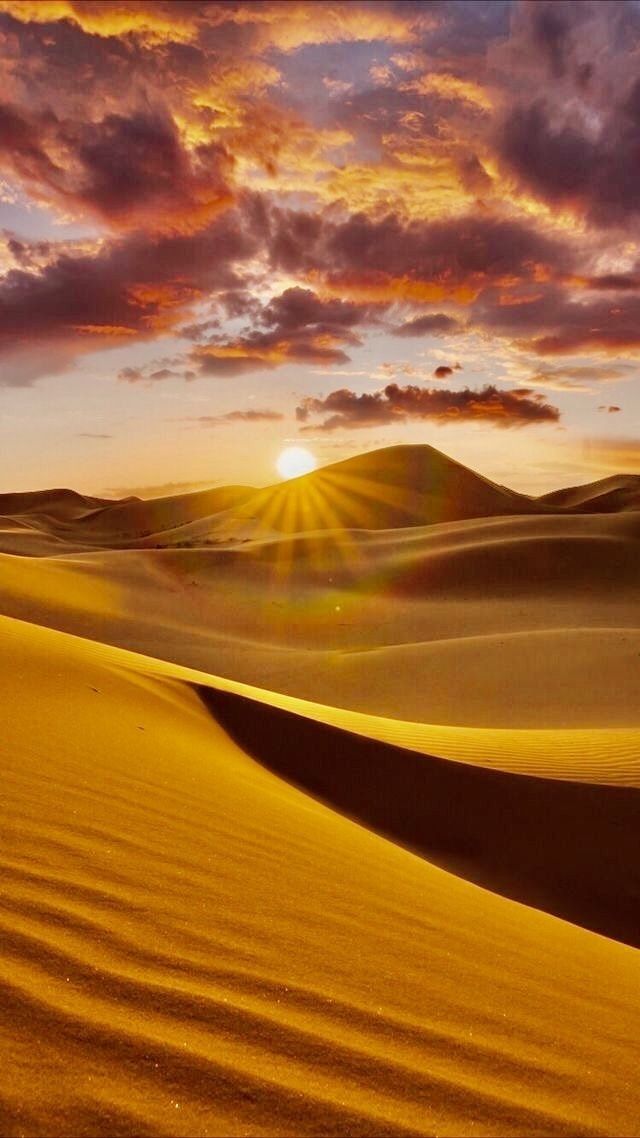 Desertaesthetic's tweet photo. https://t.co/kXCjj1HAYN