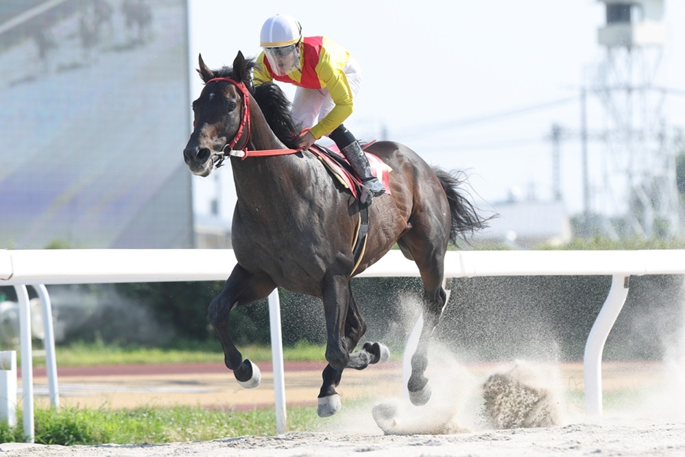 kasamatsukeiba's tweet photo. おはようございます。本日はJRA新潟、中京、札幌競馬を、地方競馬はナイターで帯広、佐賀競馬を場外発売いたします。また、レパードステークス、CBC賞の前日発売も同時に行います。開門時刻は9時ちょうどです。 https://t.co/gFwKPz7cvO