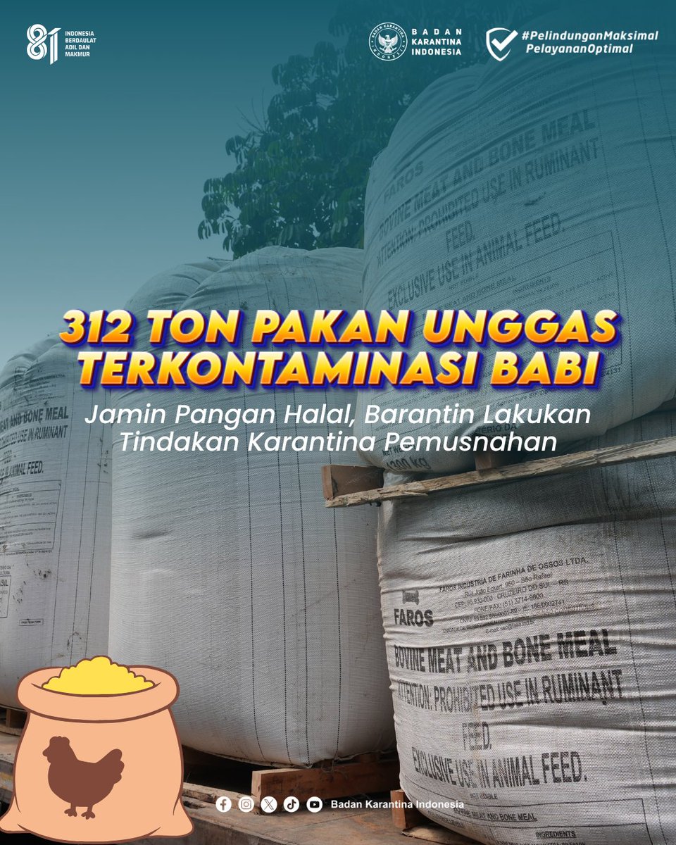 BarantinRI's tweet photo. 312 Ton Dimusnahkan. Ini Harga dari Sebuah Pelanggaran.

Satu kontainer...Dua kontainer...Lalu menjadi 12 kontainer atau 312 ton bahan baku pakan impor. Mungkin ada yang mengira, selama barang sudah sampai di pelabuhan, semuanya akan berjalan mulus. https://t.co/YR16Buz8CY