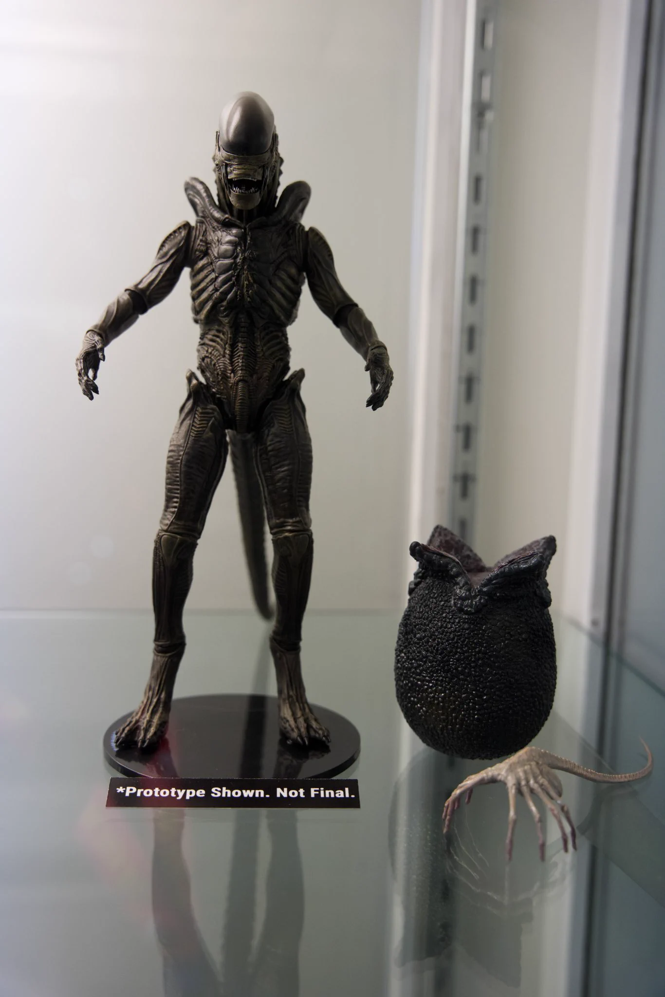 Alien vs. Predator Galaxy on X: 